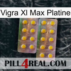 Vigra Xl Max Platinum new10